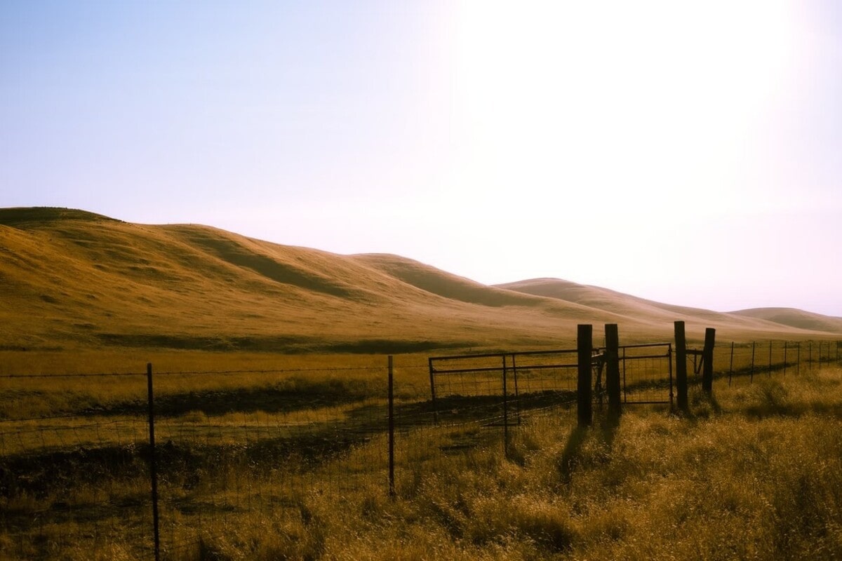 Bakersfield