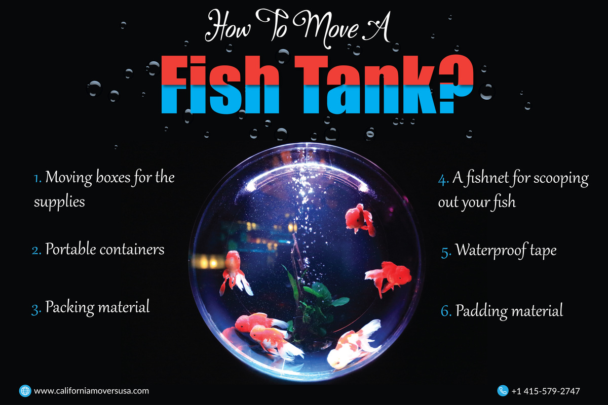 How to move a fish tank?