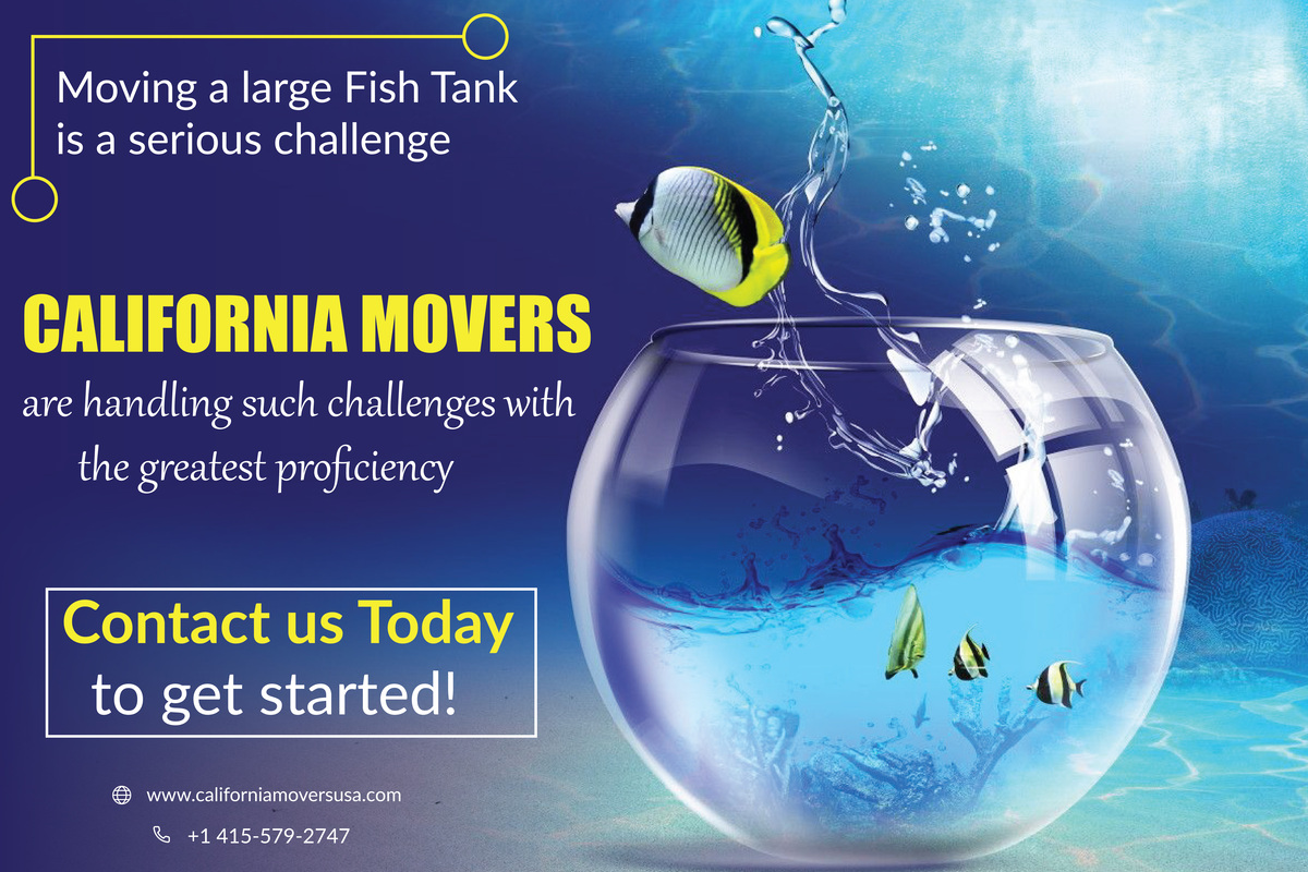 Moving a large fish tank