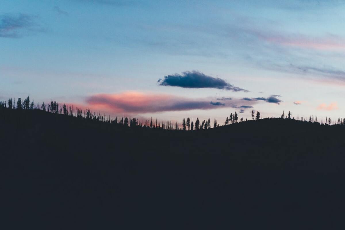 Moving to Montana