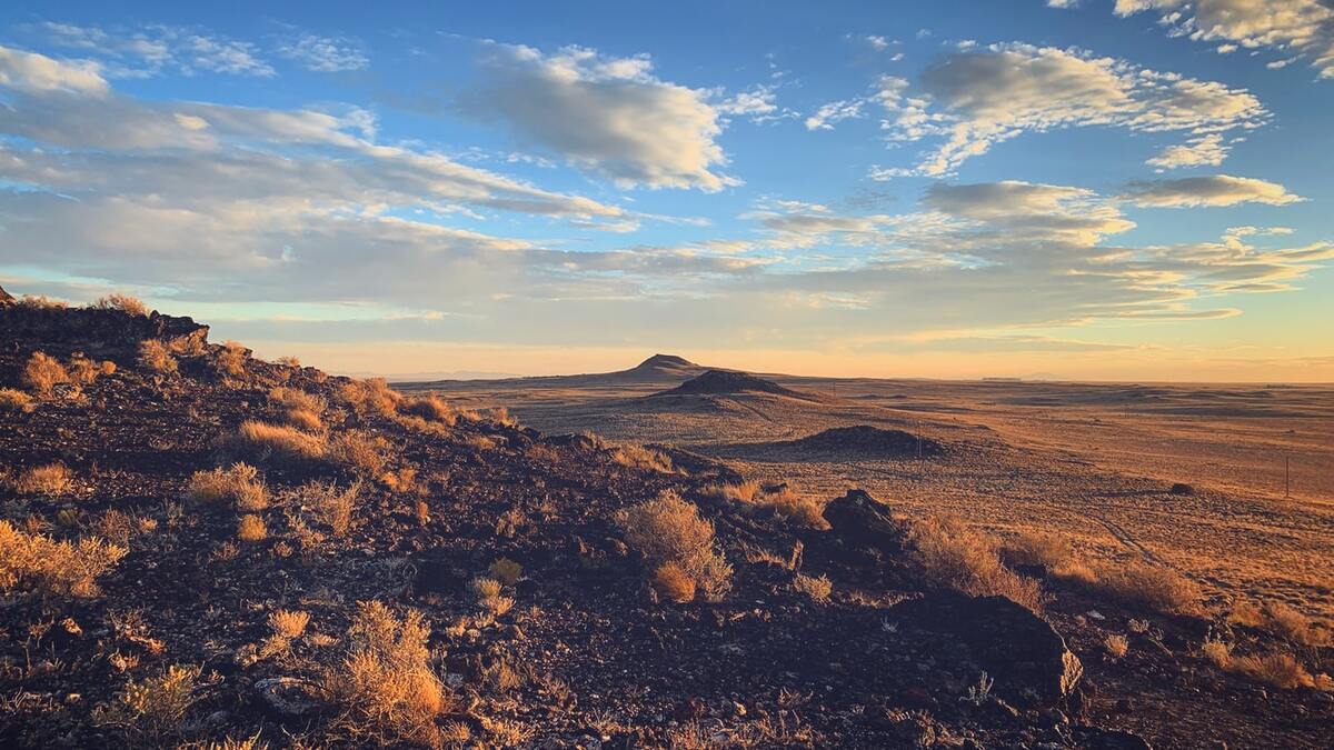 NEW MEXICO