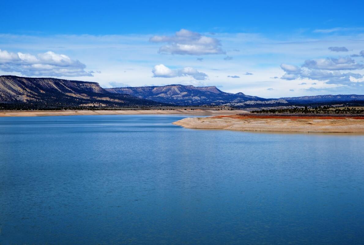 NEW MEXICO