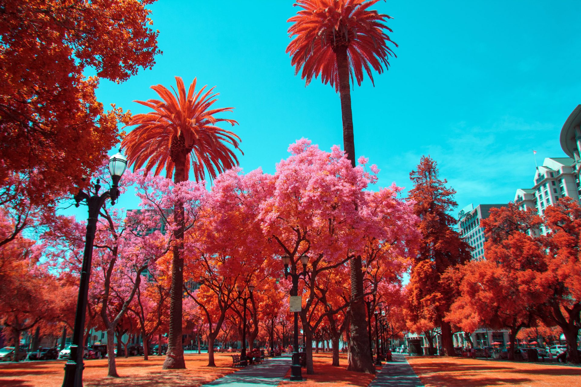 Weather in San Jose