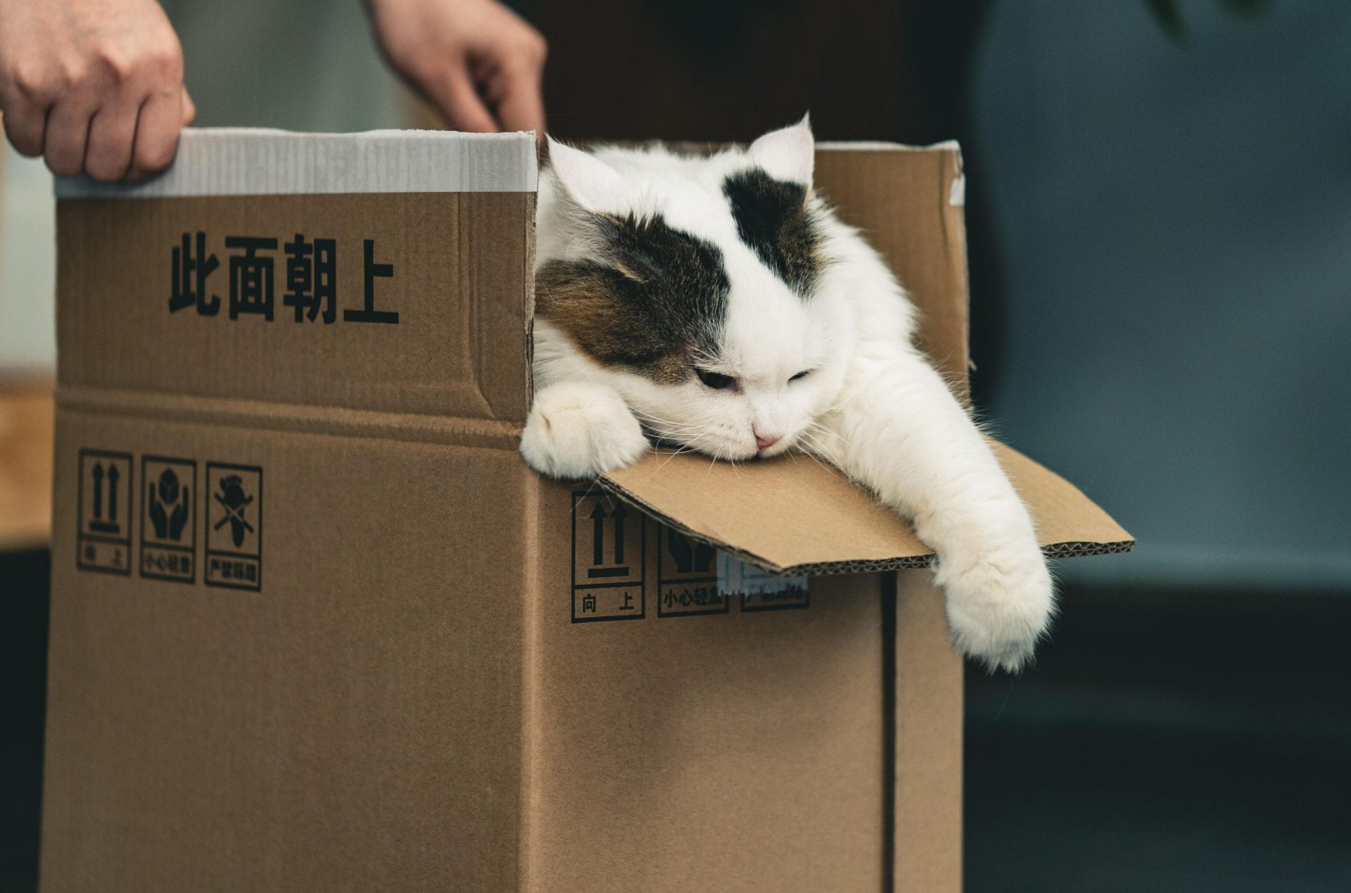packing-materials